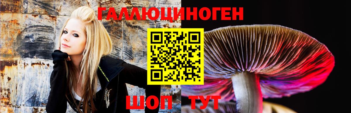 Кушва  Псилоцибиновые грибы GOLDEN TEACHER  Вход с VPN 